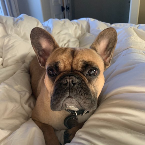 Meet your Posher, Maria - Picture 1 of 1